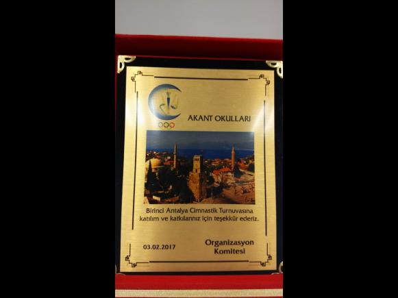 Cimnastik Sertifikası