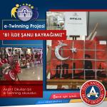 81 İlde Şanlı Bayrağımız,  e-Twinning Projesi